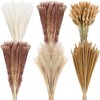 360 Pcs Dried Pampas Grass Decor, 17 Inch Dried Flower