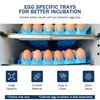 Universal Chicken Egg Trays (6 pack)