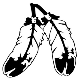 Two Feathers Vinyl Decal Sticker Native American Symbol Car Laptop Wall Window Boat Mailbox Spirit (Height: 9", Orange)