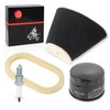 Air Filter foam and Oil Filter + Spark Plug 2001