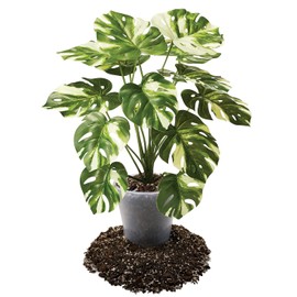 Premium Aroid Potting Mix - Soil Free Blend for Aroids - Growing Medium for House Plants by Gardenera - (2 Quart Bag)