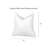 RSH DECOR: Down-Alternative Pillow Inserts Set of 4 | Inserts