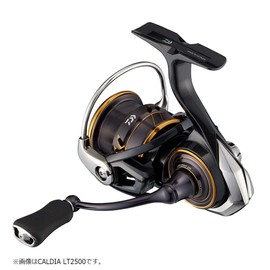Daiwa Caldia LT3000-XH 21