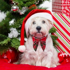 ADOGGYGO Christmas Dog Collar with Bow, Adjustable Cotton Red Green Plaid Bowtie Dog Christmas Collars for Small Medium Large Dogs Pets (Small, Xmas)