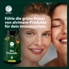 Alvimare Chlorella Tablets, 360 Pieces (180 g) - Non-GMO Premium