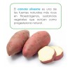 Sheló Nabel crema de camote silvestre y vitamina E, nutre