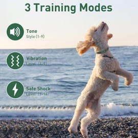 DOGLinsen Dog Training Shock Collar with Remote 3300ft Range - Waterproof Shock Collar for 10-110lbs Dogs, Rechargeable E Collar for Dogs Training, Safety Shock Collar(0-16), Green