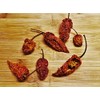 Dried Chilli Naga Bhut Jolokia Pods - Ghost Pepper- 50g