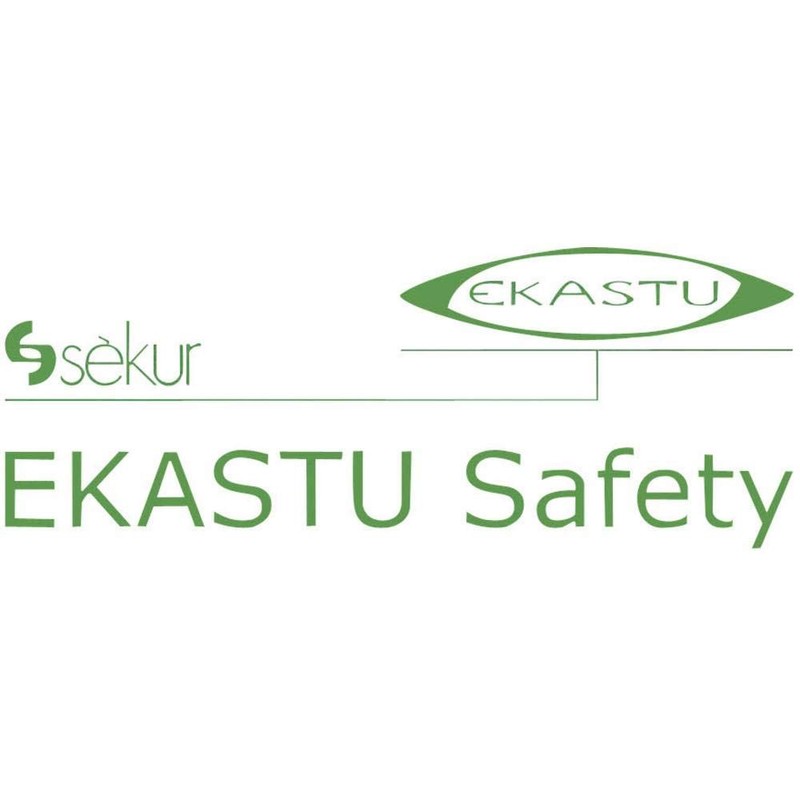 EKASTU-SEKUR Polyvinylchlorid Chemiekalienhandschuh Größe (gloves): 9, L EN 374, EN