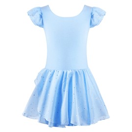 EQSJIU Girls Ruffle Sleeve Ballet Dance Dress Tutu Skirted Leotard Blue Toddler Dance Leotards 5-6 5/6 Years
