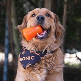 BIONIC Treat Shaker Dog Toy, Large - Interactive Dog Chew Toy That Stands Up to The Toughest Chewers, for Dogs Between 30-60+ lbs. (13-27+ kg.)