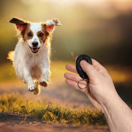 Powersell srls Clicker for Dogs with Keychain, Training and Training, Dog Training - Dog, Cat, Horse - Easy Grip, Train Proper Behavior (Black)