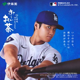 Itoen Oi Ocha Yame Tea 3.5 oz (100 g)