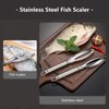 Stainless Steel Fish Scale Remover, Perfect for Kitchen Fish Skin