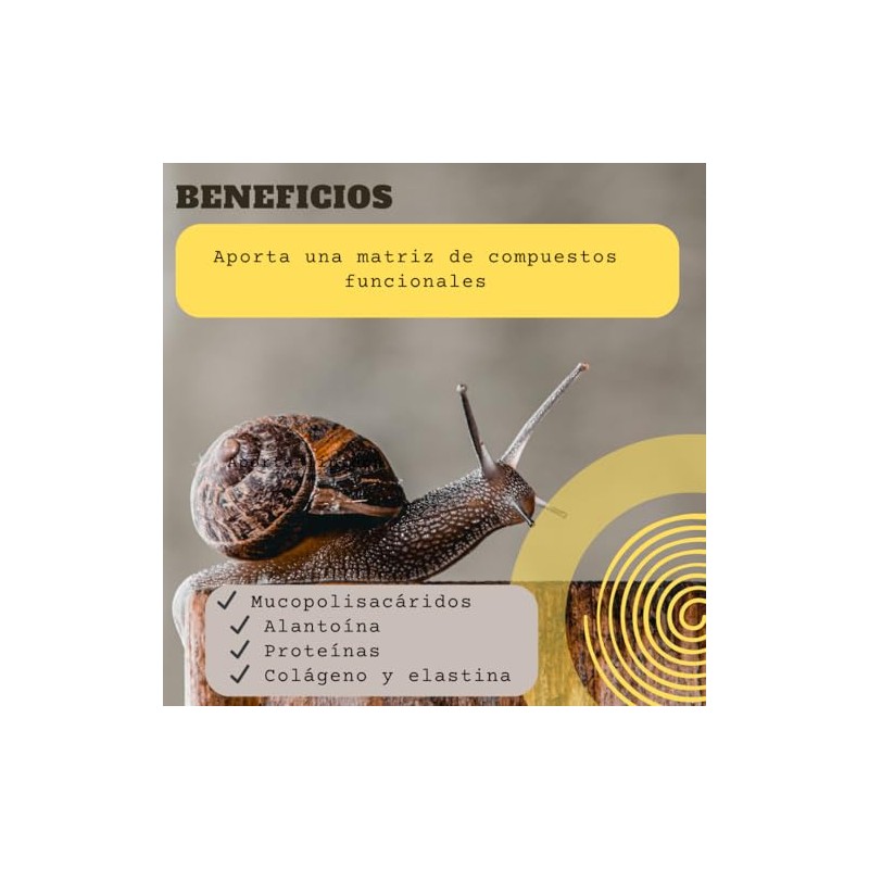 30ML Extracto de Baba de Caracol (Snail Secretion Filtrate) Activo