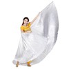 Baisdan Angel Isis Wings (Wings + Stick + Carry Bag)