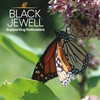 Black Jewell Gourmet Popcorn Kernel Variety Pack with Original Black