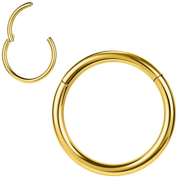 PunkTracker Titanium Surgical Steel Hinged Nose Rings Hoop 20G 18G