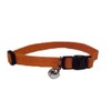 Coastal Pet Products, Inc. 14301 8 Inch x 3/8 Inch Soy Collar - Pumpkin