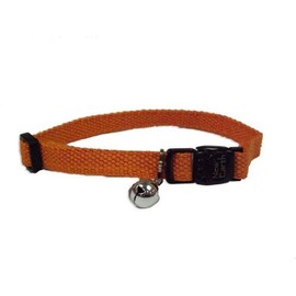 Coastal Pet Products, Inc. 14301 8 Inch x 3/8 Inch Soy Collar - Pumpkin
