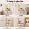 Toilet Safety Rail with Paper Holder & Storage Shelf, Bathroom