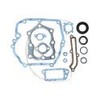 Bag Gasket Set Briggs and Stratton N ° Original 493263 for Mod: quantieum Engines Sealing Rings Included
