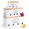 Nagpew 3 Pack Potato Onion Garlic Storage Set, Iron Vegetable