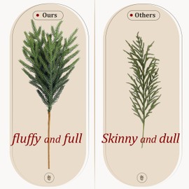 BYDA 16pcs 18.5 inches Norfolk Pine Branches - Artificial Christmas Greenery Branches Faux Greenery Stems Fake Cedar Pine Pick Vase DIY Crafts Garland Christmas Indoor Outdoor Home Decor (16pcs)