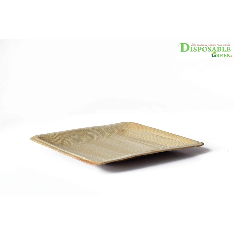 DISPOSABLE GREEN® | 20 X 20 CM Square Plates |