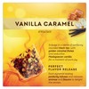 Lipton Peach Mango, Vanilla Caramel, & Lemon Black Tea 20