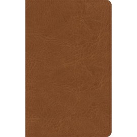 NASB Single-Column Personal Size Bible, Tan Genuine Leather, Black Letter, Presentation Page, Full-Color Maps, Easy-to-Read Bible Serif Type