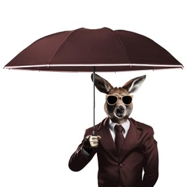 DAWNTREES Windproof Travel Umbrella,Automatic Opening And Closing,Compact, Sturdy, and Lightweight,Sun Umbrella UV Protection,Large Rain Folding Umbre