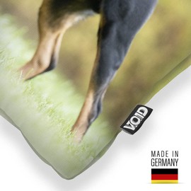 VOID Rottweiler Cushion Cover Sofa Cushion Decorative Outdoor Cushion Decorative Cushion Size: 40 x 40 cm