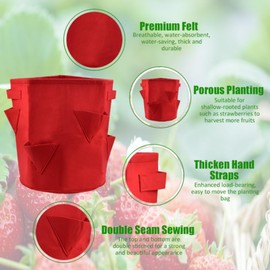 KLYNGTSK Pack of 2 Strawberry Plant Bag Felt Plant Bag with Handles Strawberry Plant Bags with Holes Felt Planter Grow Bag for Strawberries, Herbs, Flowers, Red and Green