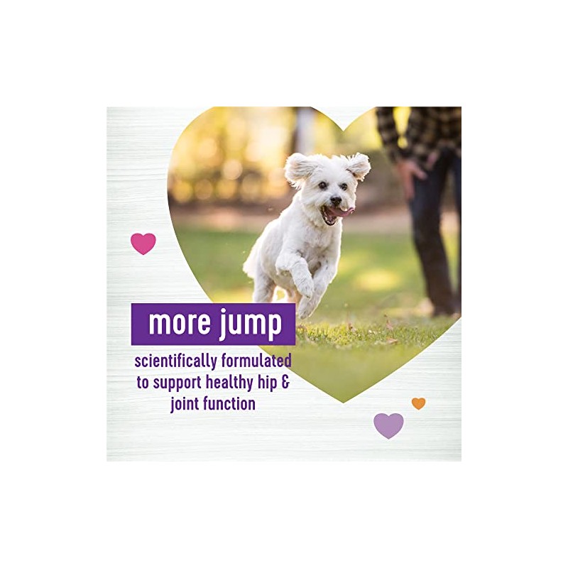 Wellness Grilled Chicken Flavored Soft Chews Hip & Joint Health