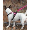 Joytale Double-Sided Reflective Dog Leash, 6 FT/5 FT/4 FT, Padded