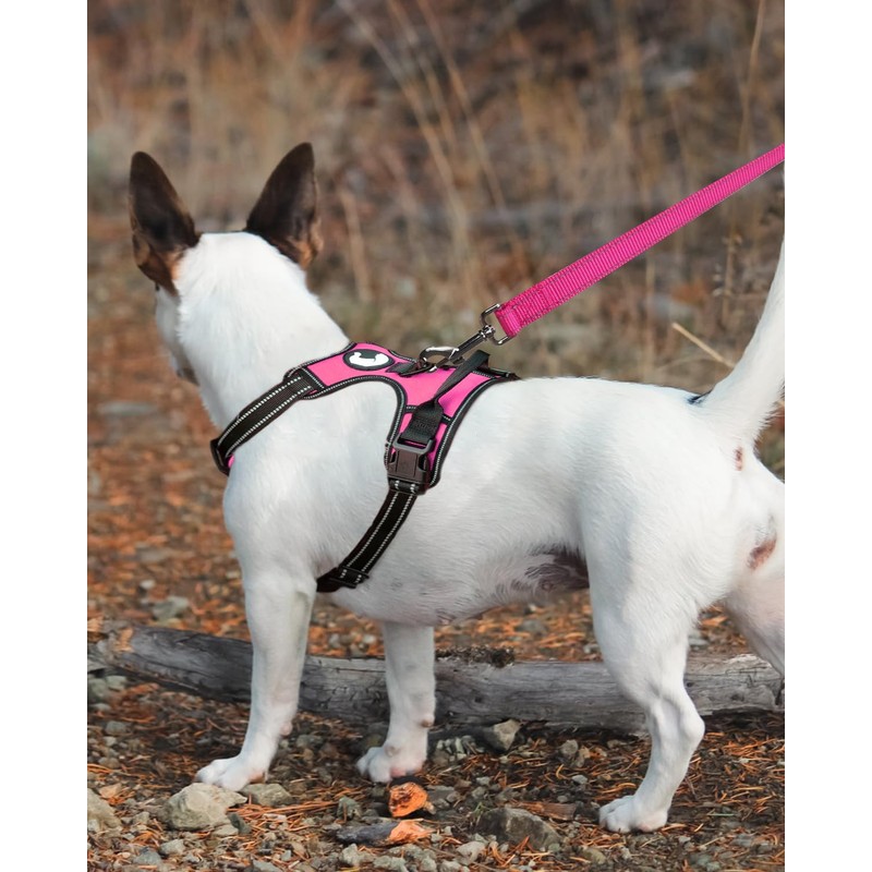 Joytale Double-Sided Reflective Dog Leash, 6 FT/5 FT/4 FT, Padded