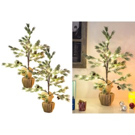 Britesta Christmas Trees in Pot: Set of 2 Decorative Conifers in Pot, 24 LEDs, Artificial Snow, Cones, 70 cm (Conifer, Illuminated Conifer, Wireless Christmas Tree Lighting)