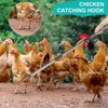 TOXYMHO Chicken Catcher, Adjustable from 29 inches to 74 inches