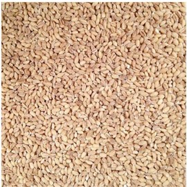 Grain Place Foods | Non-GMO Organic Hulled Barley | Made in USA | 2 lb Bag | 6-Pack