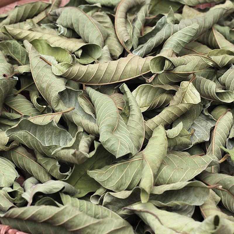Dried Whole Guava Leaves, Natural Guava Tea, Loose Leaf Tea