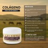 Kit Completo Shampoo Yeguada Reserva Colageno Chico Express
