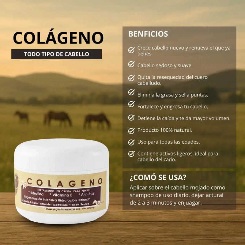 Kit Completo Shampoo Yeguada Reserva Colageno Chico Express