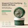 AXIS-Y - Mugwort Pore Clarifying Wash Off Pack - Mascarilla