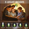 Albrillo 2 PACK Camping Lantern Flashlight Bug Zapper 4-in-1 Rechargeable