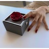 The Amore Box - Red Rose Jewelry Gift Box with