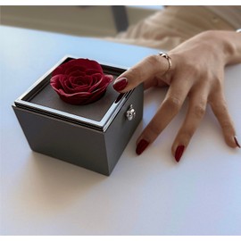 The Amore Box - Red Rose Jewelry Gift Box with Teddy Bear Button for Flip-Sides (Box Only)