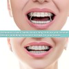 2 Pack Orthodontic Elastic Bands Rabbit 3/16" Braces Rubber Bands