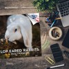 2024 2025 Lop Eared Rabbit Calendar - Cute Animal Monthly