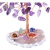 GEFIRE Tree of Life Crystal, 9-10 cm Amethyst Stone Money